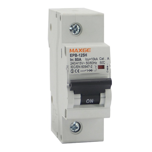 Interruptor automático magnetotérmico. Industrial. Poder de corte 10kA. (EPB125H)